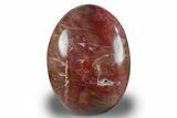 Free-Standing, Polished Petrified Wood - Madagascar #256727-1